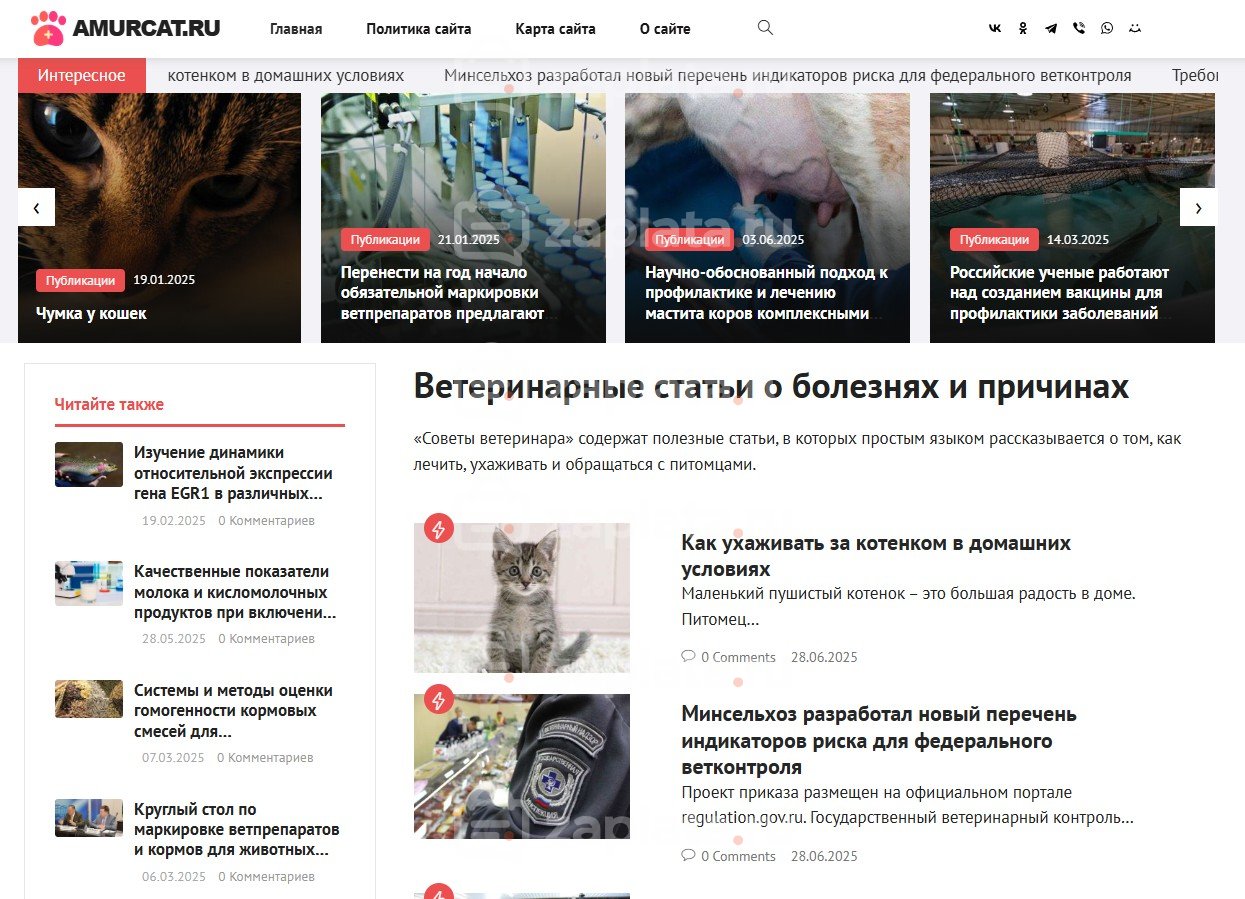 Ветеринарный блог с советами по уходу и кормлению – Автонаполняемый