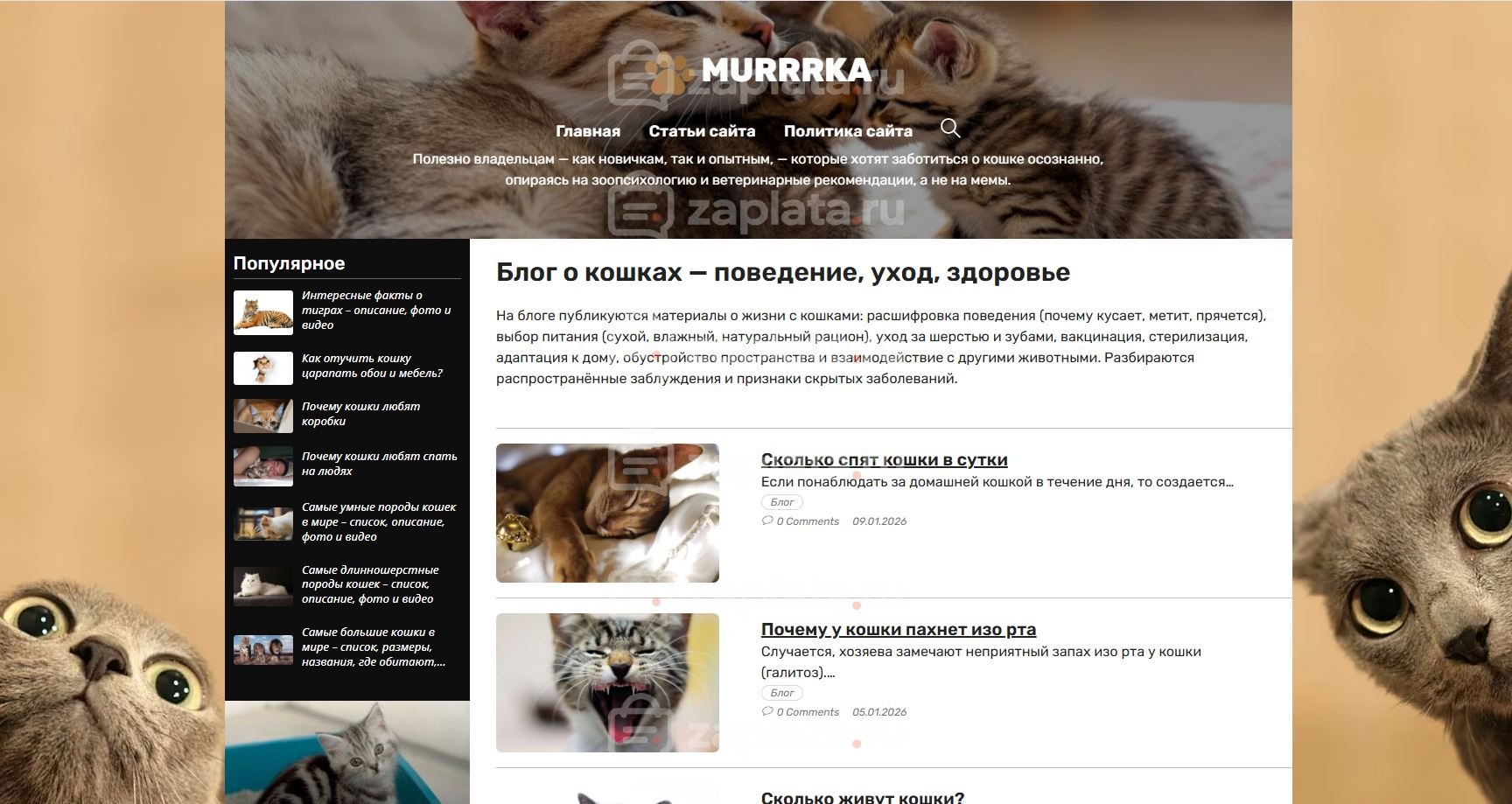 Блог про кошек