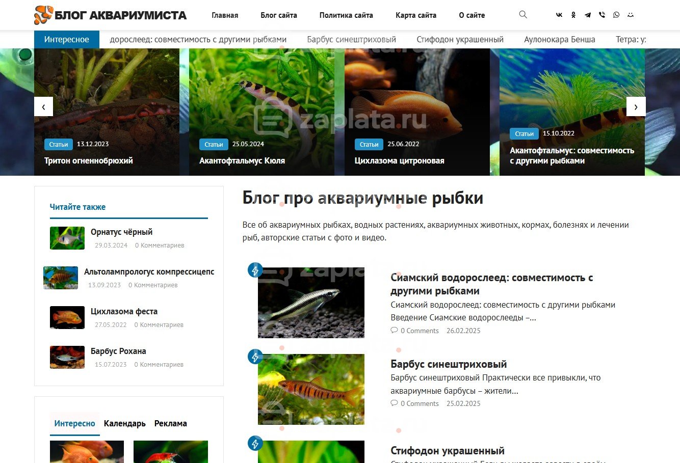 Блог про аквариумные рыбки – Автонаполняемый с доменом