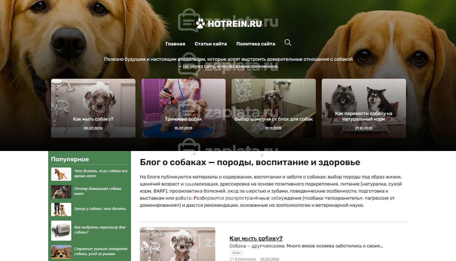 Блог про собак – Автонаполняемый