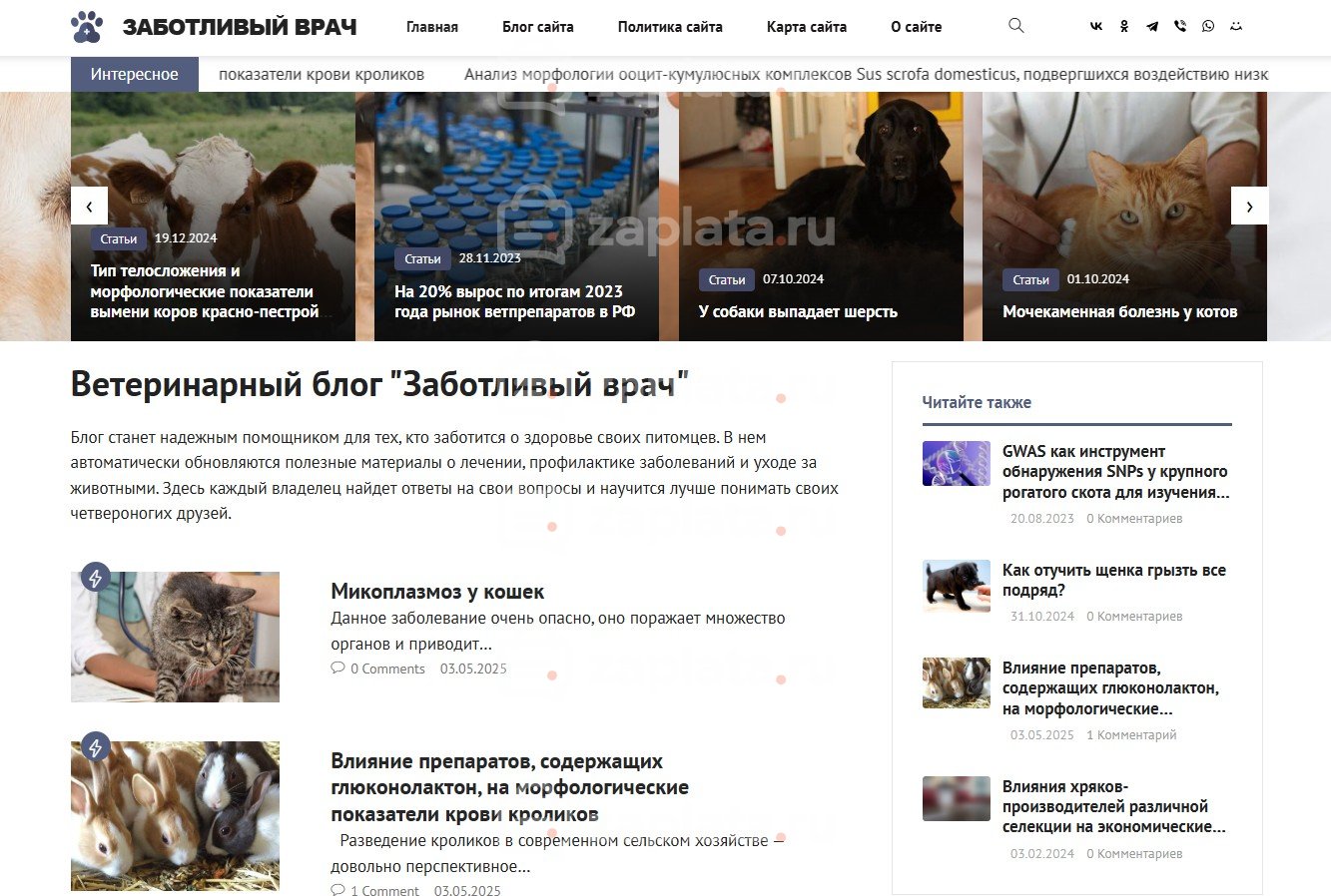 Ветеринарный блог