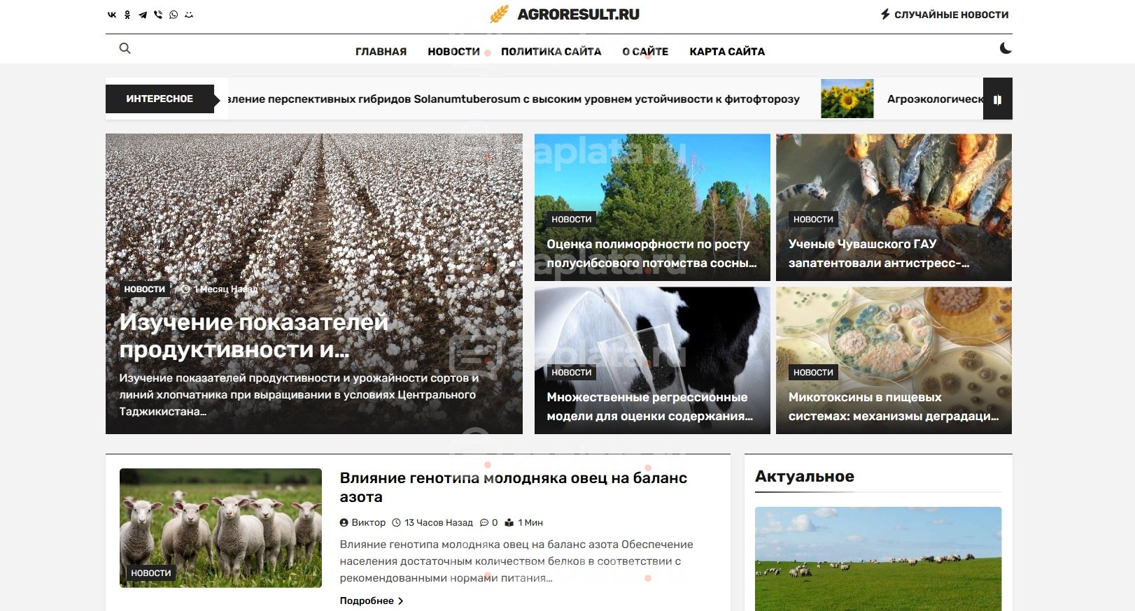 Блог про агрономию как науку с автонаполнением