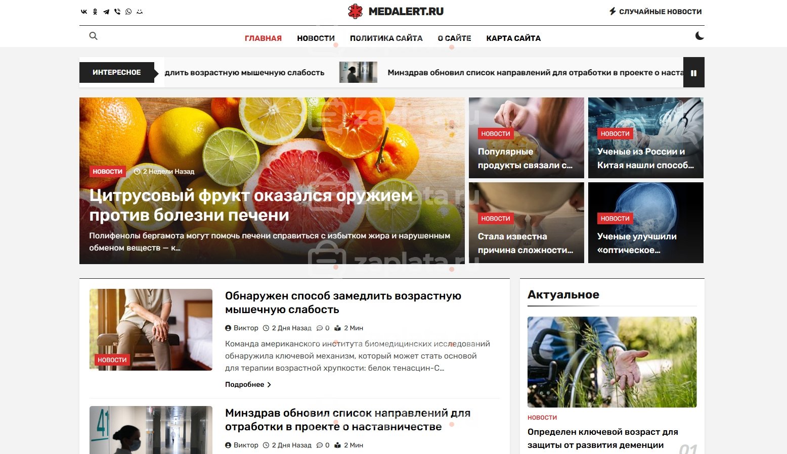 Блог медицинский новостной с автонаполнением