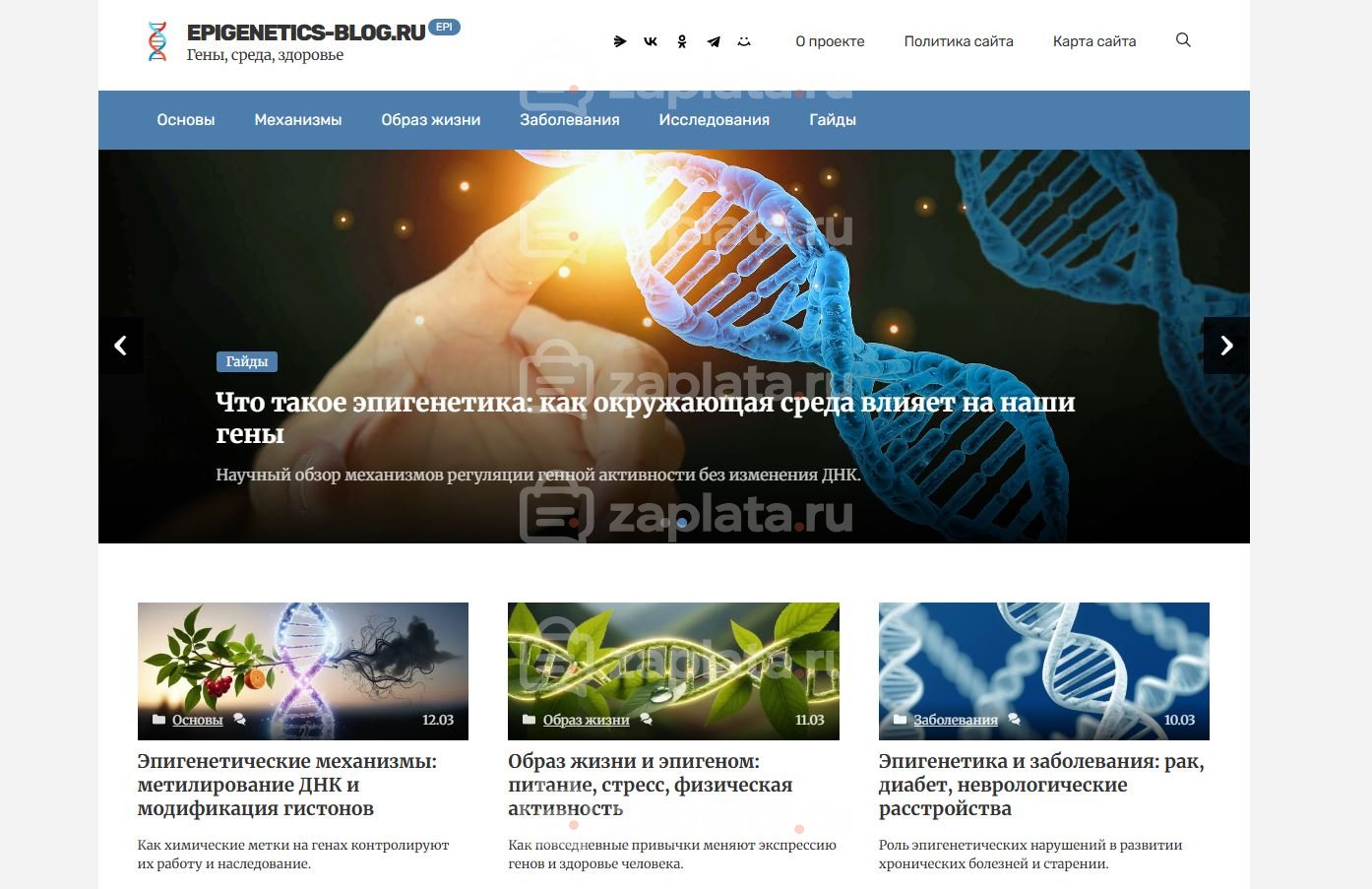 Блог об эпигенетике