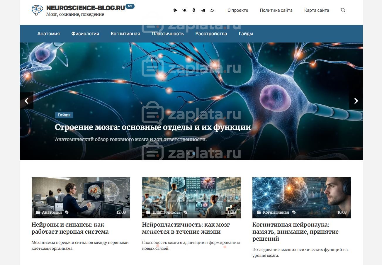 Блог о нейронауке